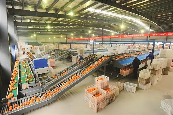 1705567687455584.jpg 20171220073356228.jpg